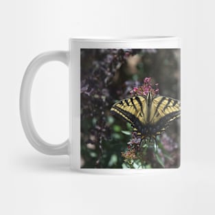 850_8531 Mug